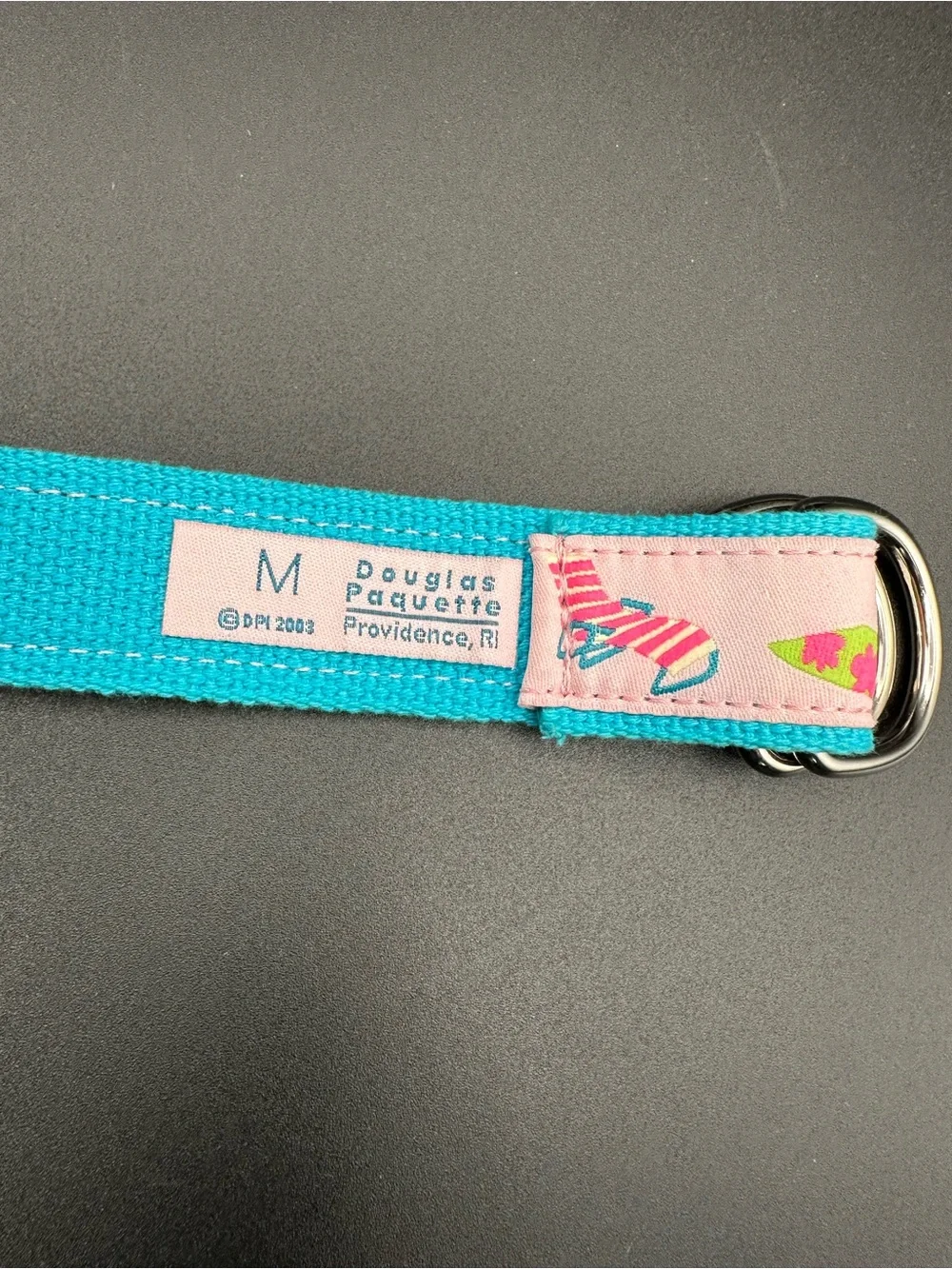 Douglas Paquette Beach Umbrella & Surfboard Belt – Pink & Teal, D-Ring, Size Med